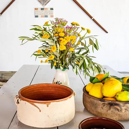 Ferienhaus Skopelos Panormos Vassilios